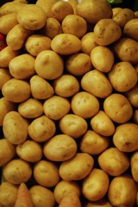 Patatas-transgenicas